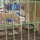 원문농장 이미지