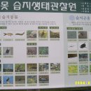 남생이못 습지생태 관찰원 이미지