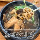[고양/일산] 장뇌삼까지 챙겨주는 원당맛집 '초애삼계탕' 솔직후기