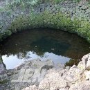 성읍1리 이미지