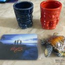 파라다이스 코브 이미지