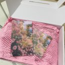 진주 사천 경남 부케말리기 세소당 추천 내돈내산후기