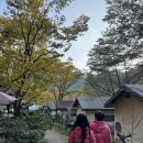 소백산풍경펜션민박 | 내돈내산 단양 캠핑장 추천 소백산국립공원 삼가야영장 가을 단풍 캠핑 후기 , 명당