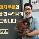 우리 동물병원 이미지