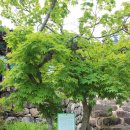 곡성-175 이미지