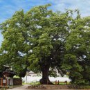 슬기롭게 건강하게 이미지