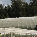 재욱 팜 이미지