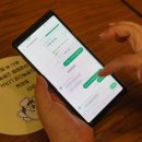 태평하개 이미지