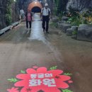 인제천리길13구간(조침령길) (26.5.26) "조침령입구-진동분교" 이미지