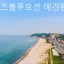 더퍼피즈블루오션 이미지