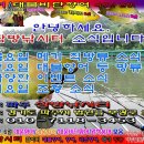 20240708 파주 삼방낚시터 대물향어/향어, 대물비단향어/비단향어, 메기 방류소식, 조황소식 전합니다. 이미지