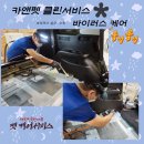 클린카케어 이미지