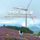 신원청연마을 | 거창 감악산 아스타 국화축제 실시간 주차 별바람언덕 10월 가볼만한곳