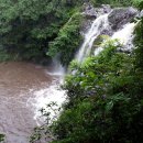 토산1리 이미지