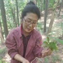 함양액즙 이미지