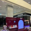 블랙스토어 | 판교현대백화점 시슬리 블랙 로즈 팝업스토어 후기