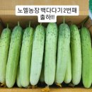 노엘농장 이미지