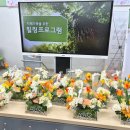 아로마테라피 | 힐링 워크숍 기업 기관 강의 교육 프로그램 플라워 아로마 테라피 센터피스 후기