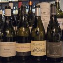 올리비에 | 시음회 후기 (1) - Olivier Horiot (올리비에 오리오)