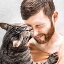 CW-0800-01 이미지