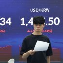 6590 데일리안