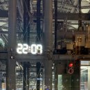 사곡 고기 백화점 | 26년 1월｜바쁘고 행복했던 생일 월간, 괌 태교여행, 예비맘 소비 기록..