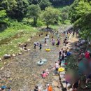 장수계곡축제추진위원회 | 이런 계곡 축제는 저장해야죠" 20m 수영풀 열리는 장수 쿨밸리 페스티벌