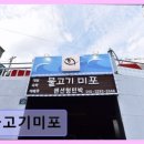 물고기 미포 이미지