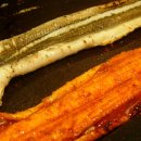 장어생각 이미지