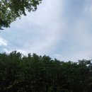 지리산뱀사골 맑은물 펜션 | (여행) 전북 남원 산내면 (지리산뱀사골 맑은물펜션)