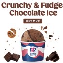 드림랜드,스타벅스 사거리(베스킨라빈스) | 베라 바삭한 쫀꾸렛 가격 칼로리, 직접 먹어본 맛과 식감은?