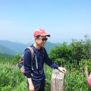 송강초등학교 이미지