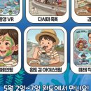 완도 정자리 황칠나무 | 완도 축제 찍고, 보길도 '비밀의 숲' 황칠나무까지! 1박 2일 섬 여행 완벽 코스