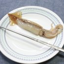 바보푸드