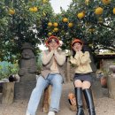 은하네농장 이미지