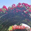 태능