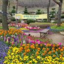 봄꽃체험코스 이미지