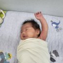 이경민소아과의원 네이버블로그