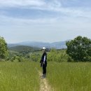 태화 목장 이미지