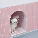 딩굴댕굴 애견호텔 유치원 이미지