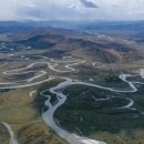 진 한약국 이미지