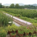 김충현농장 이미지