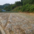 330부동산공인중개사사무소 이미지