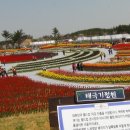 태안별주부마을 이미지