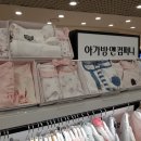 홈플러스 디어베이비 이미지