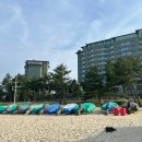 강원도 강릉 가족여행 추천 오션뷰 객실 후기 - 라카이 샌드파인 트리오 Nuovo