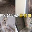 서민갑부 이창현 곰팡이 제거 갑부 회사 연락처 전화번호 견적 문의 방법 알아보기