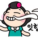 홍홍상회 이미지