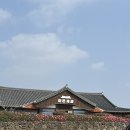 미쁜제과 제주 서쪽 서귀포베이커리카페 돌고래 오션뷰 <b>미쁜</b><b>제과</b>