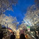 스테이 낭낭 이미지